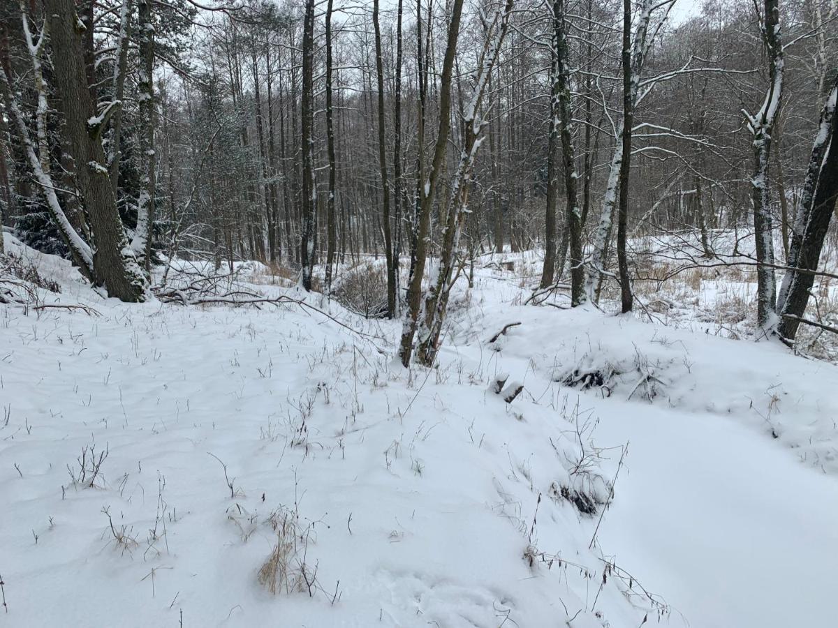 Agroturystyka Gesiniec Stare Osieczno Exterior foto