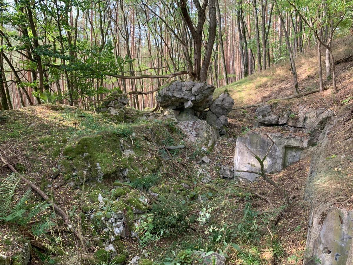 Agroturystyka Gesiniec Stare Osieczno Exterior foto