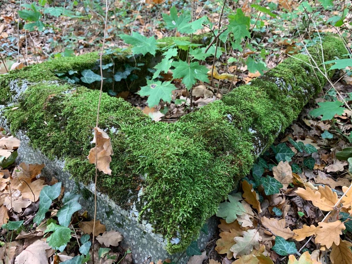 Agroturystyka Gesiniec Stare Osieczno Exterior foto