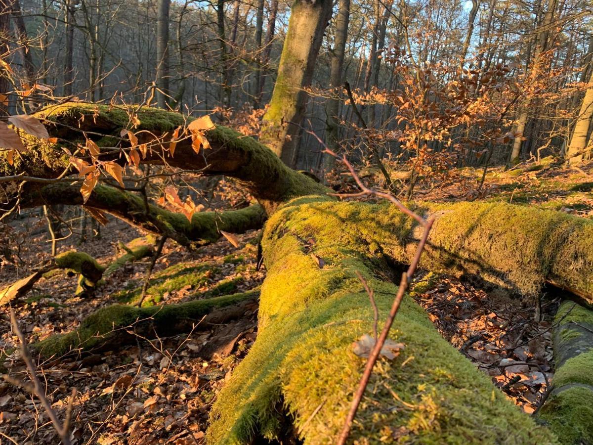 Agroturystyka Gesiniec Stare Osieczno Exterior foto