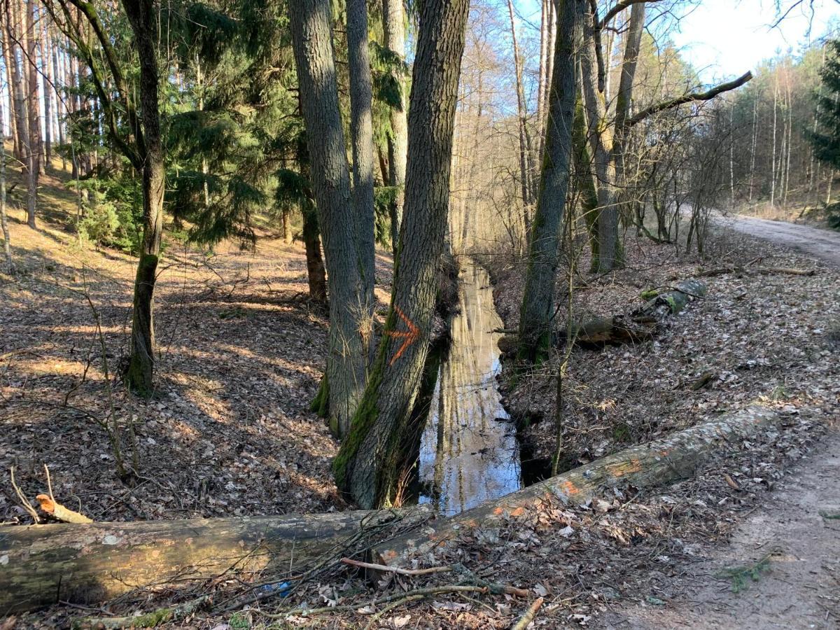 Agroturystyka Gesiniec Stare Osieczno Exterior foto