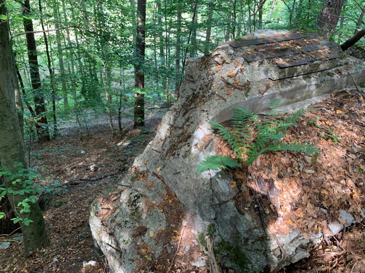 Agroturystyka Gesiniec Stare Osieczno Exterior foto