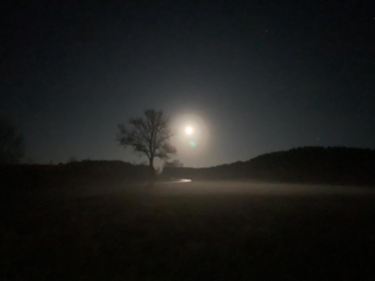 Agroturystyka Gesiniec Stare Osieczno Exterior foto